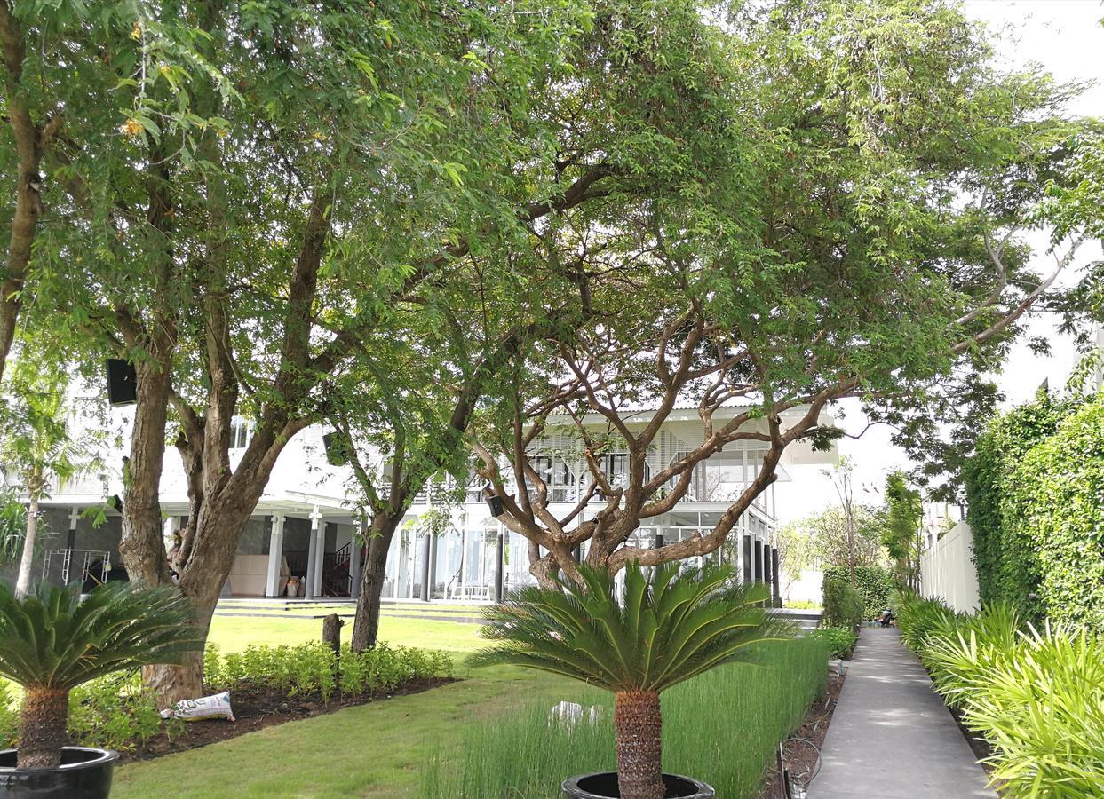 Blu-Pool Access Apartment Cha-Am Bagian luar foto